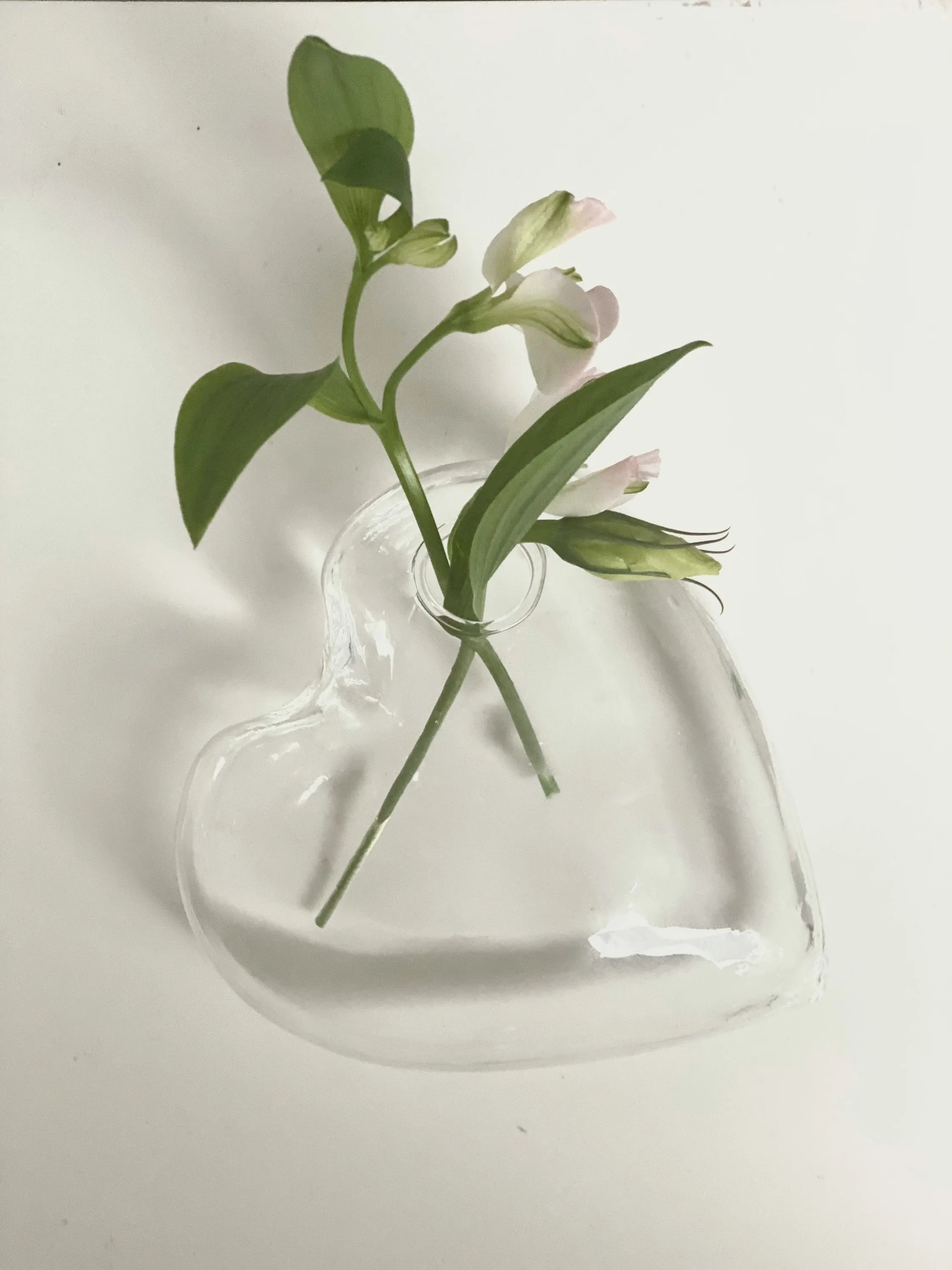 Flowers in a heart shaped vase
