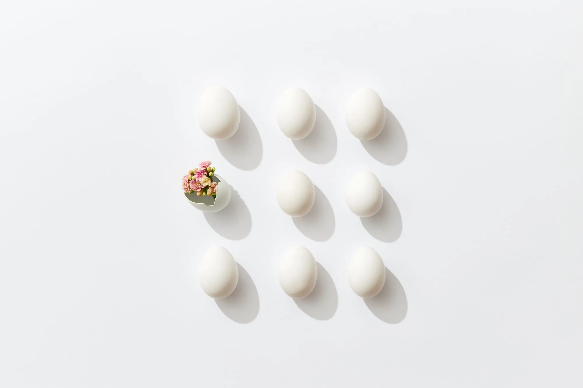 Does Egg Donation Affect Future Fertility? What the Research Really Shows