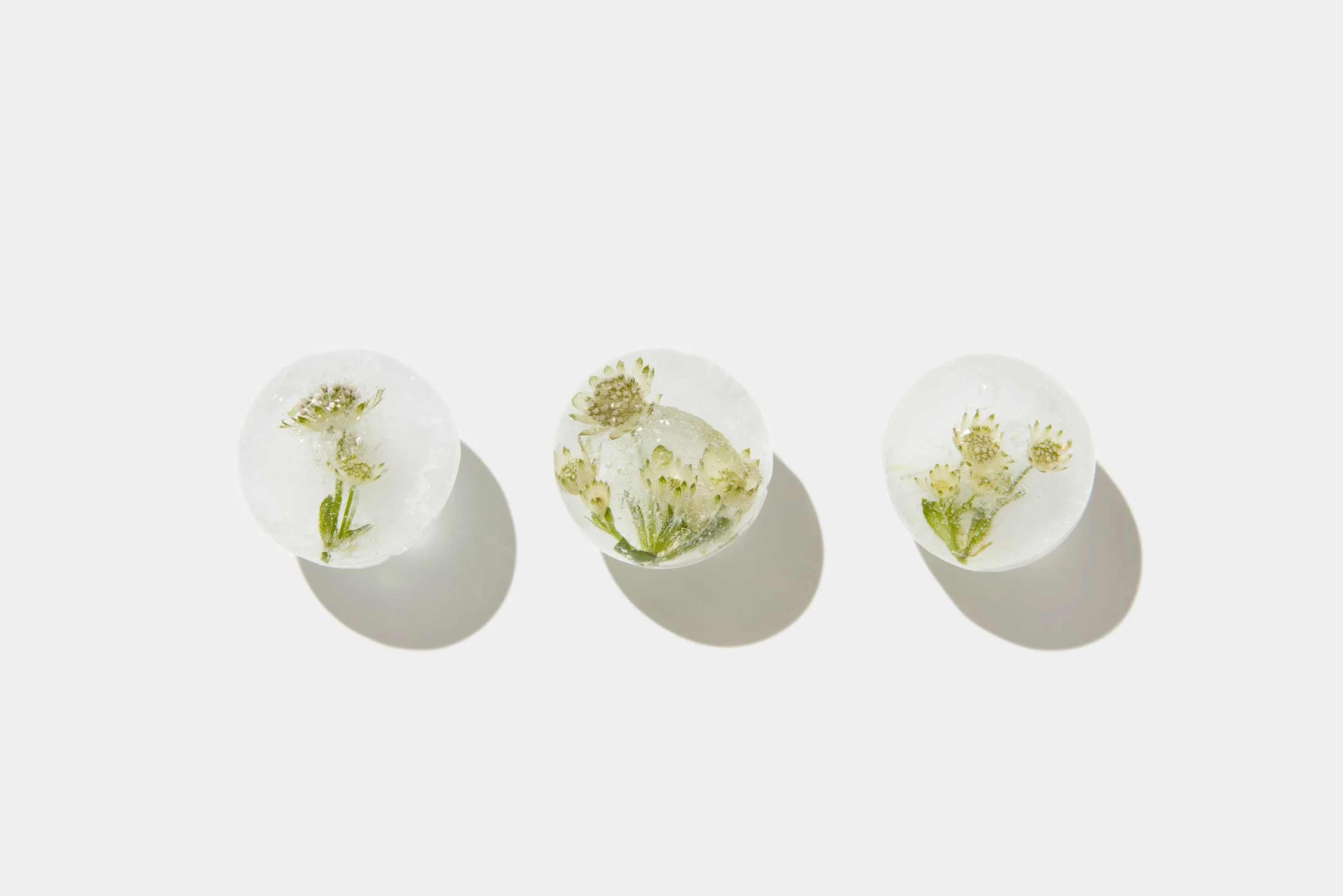 Flowers in ice spheres