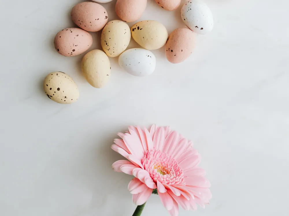 BMI Requirements for Egg Donation: What Donors Need to Know