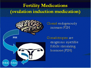 Fertility Medication Chart